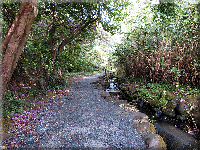 foto Parco di Killarney